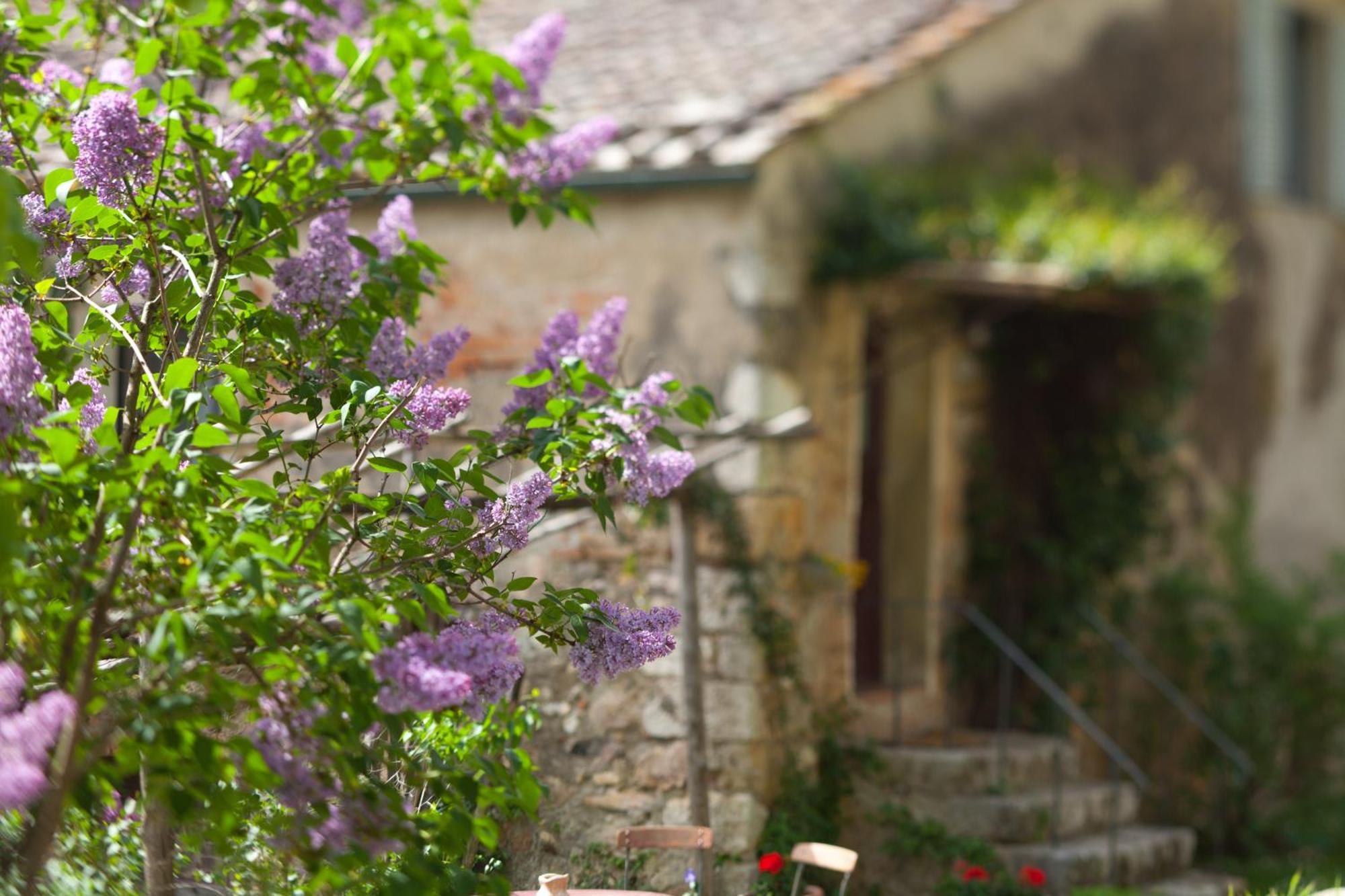 Tenuta Di Spannocchia Росия Экстерьер фото